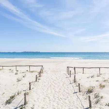 Bilo 3 维拉西米乌斯